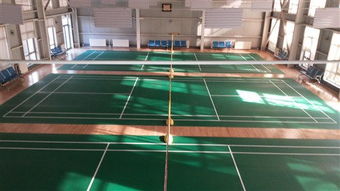 專注品質，服務運動——北京達森運動木地板有限責任公司